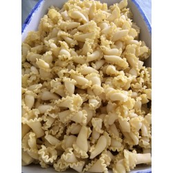 gigli